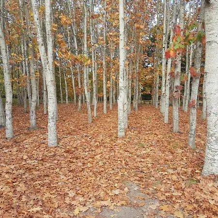 Campingplatz Mobil-homes Proche De L'ocean Saint-Jean-de-Monts