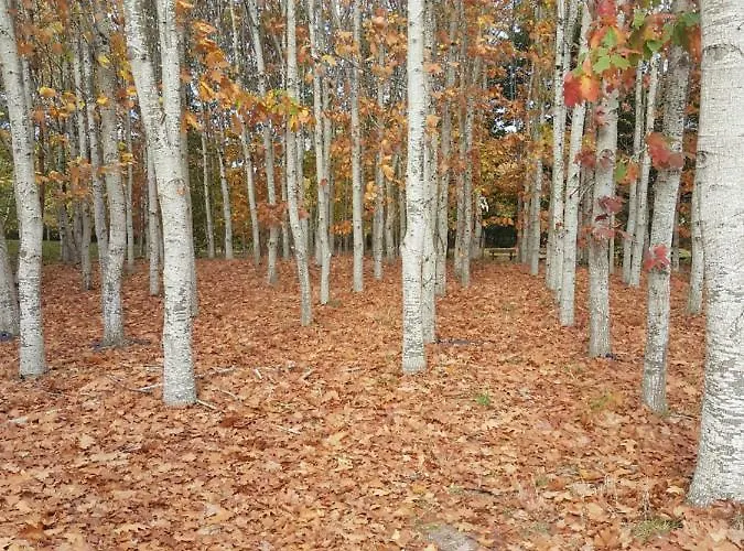 Parque de Campismo Mobil-homes Proche De L'ocean Saint-Jean-de-Monts